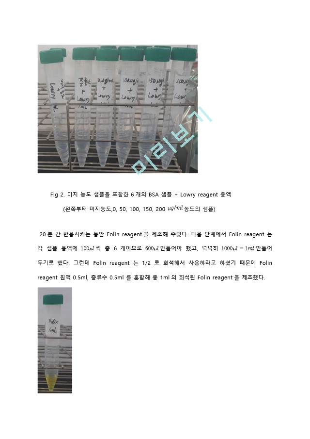 Lowry protein assay (단백질 정량 분석) 실험 결과레포트 [A＋].hwp